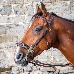 TRÄNS HACKAMORE BRUNT