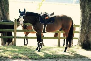 SADELGJORD SVART FÅRSKINN