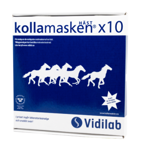KOLLA MASKEN 10 HÄSTAR
