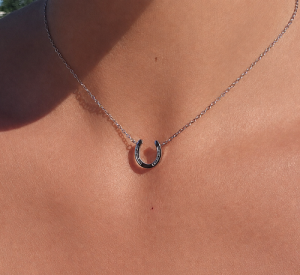 HALSBAND HÄSTSKO SILVER