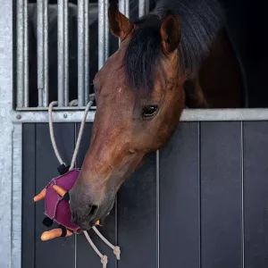 HÄSTLEKSAK BOLL PINK