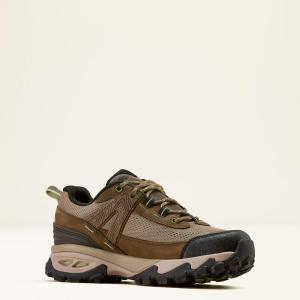 TRAVERSE LOW H2O BROWN BARK