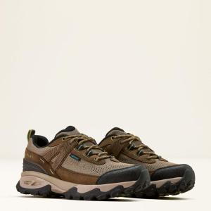 TRAVERSE LOW H2O BROWN BARK