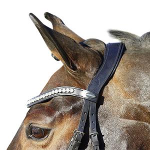 TRÄNS LA ROCHELLE ENGLSK NOSGRIMMA