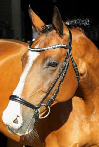 TRÄNS LA ROCHELLE REMONT SVART