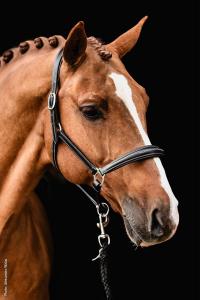 GRIMMA FRISCO LÄDER BROWN