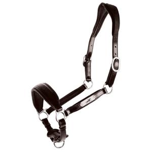 GRIMMA  FREEMONT BROWN