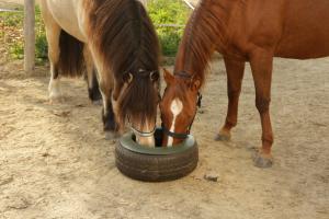 FODERBALJA 15L GRÖN