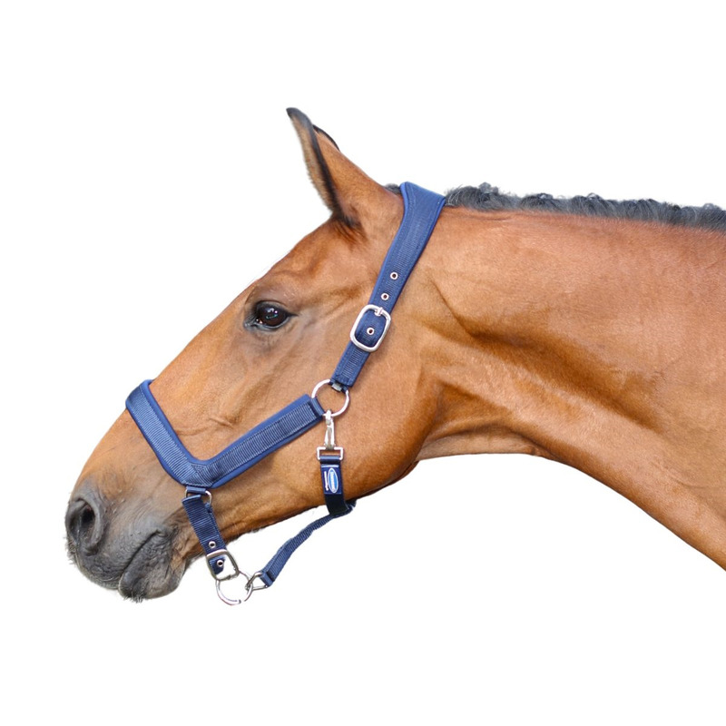 GRIMMA ANATOMISK NYLON NAVY