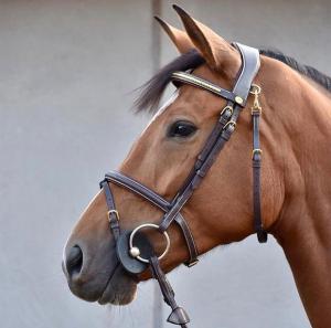 TRÄNS KLINKERS MÄSSING BRUN