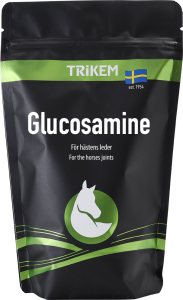 GLUCOSAMIN 500 GR