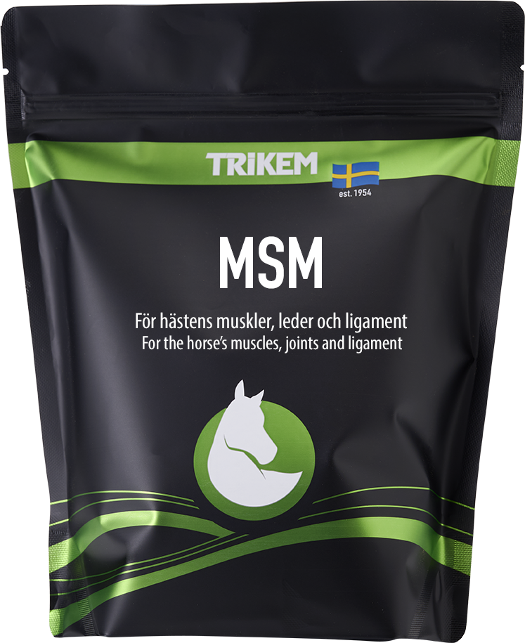 MSM 1 KG