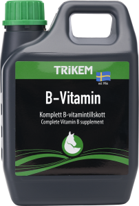 B-VITAMIN 1 L