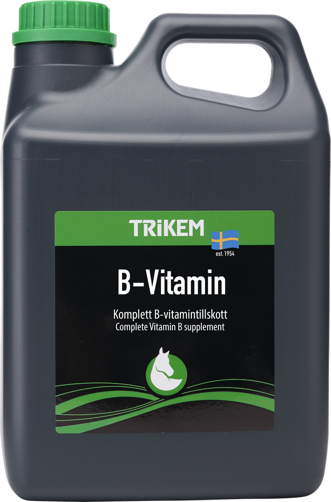 B-VITAMIN 2,5 L