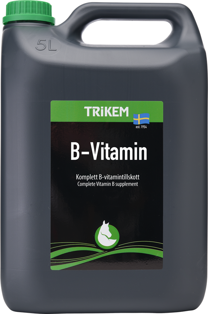 B-VITAMIN 5 L