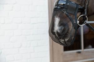 NOSNÄT AMTI FLY BLACK