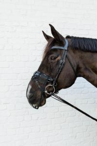 NOSNÄT AMTI FLY BLACK