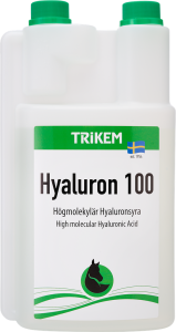 HYALURON 1 L