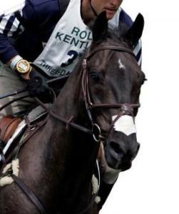 NÄSTEJP NASAL STRIP FLAIR BRUN