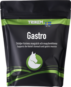 GASTRO 1 KG