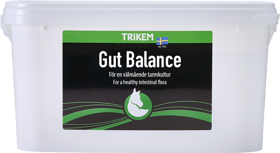 GUT BALANCE 3 KG