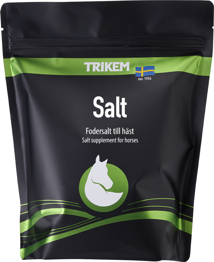 SALT 1500 G