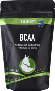 BCAA 500 G