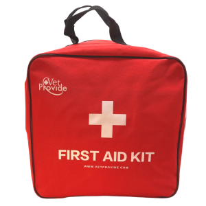 FÖRSTA HJÄLPEN VÄSKA