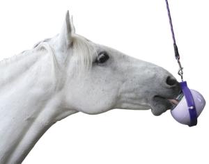 LIKIT HOLDER BOREDOM BUSTER LILA