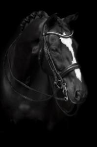 BIT POLISH DIAMOND PASTE