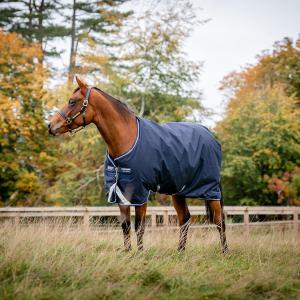 AMIGO BRAVO 250 G NAVY