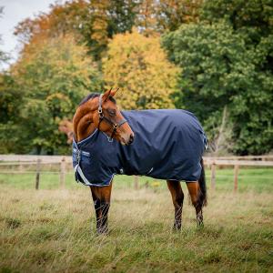 AMIGO BRAVO 250 G NAVY