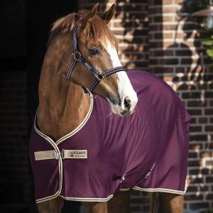 AMIGO JERSEY COOLER FIG