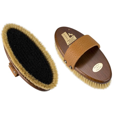 RYKTBORSTE BEAUTY ROBINIA TRÄRYGG