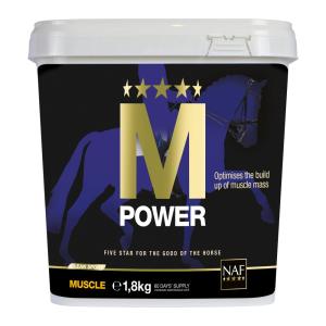 M POWER 1800 G