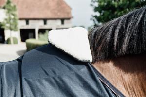 HÄST BIB MANKE FÅRSKIN NATUR