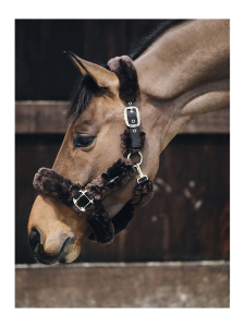 GRIMMA FÅRSKINN BRUN