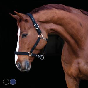 GRIMMA FROTTÉ MARIN