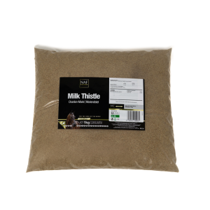 MARIATISTEL PULVER 1 KG