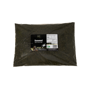ALGER 2 KG