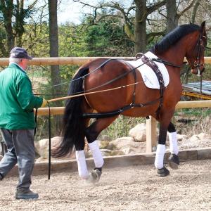 LÄDERTÖM SVART 13 M