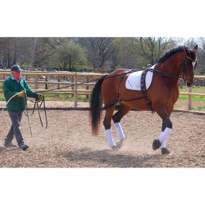 LÄDERTÖM BRUN 13 M