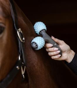 HEALTH + CARE COMFORT CREATOR MASSAGERULLE