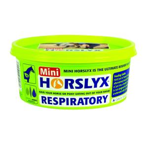 HORSLYX RESPIRATORY 650 GR
