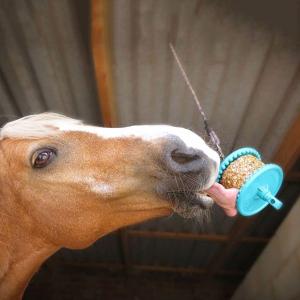 GRANOLA REFILL 550 G BÄRMIX