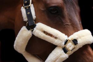 GRIMMA FÅRSKINN NATUR