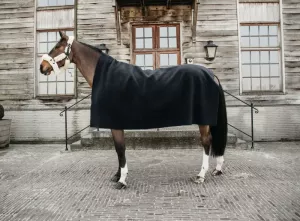 FLEECEFILT HEAVY SVART