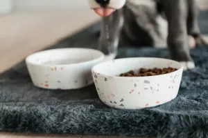 MATSKÅL BAMBOO TERAZZO WHITE