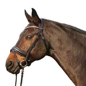 TRÄNS WESTMINSTER SVART