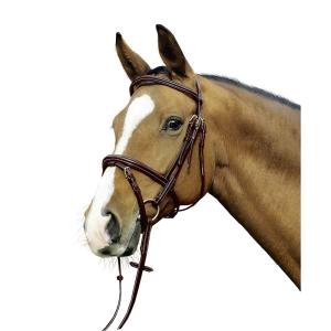 TRÄNS MILWAUKEE BRUNT